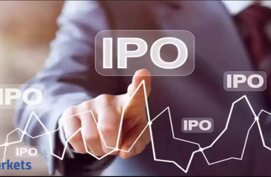 IPO market India: Indian IPO market gains momentum with 7 cos launching offerings in May