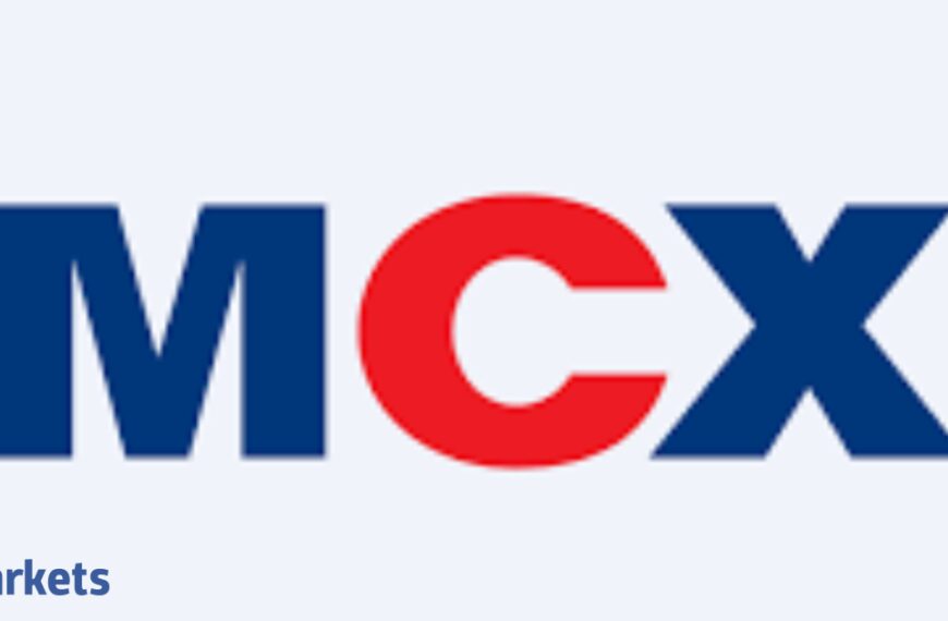 MCX said to launch electricity futures this year