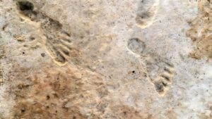 Ancient Footprints in White Sands Confirm Humans Reached…