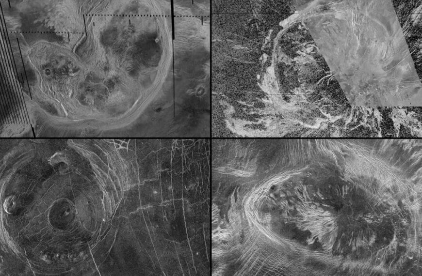 Venus May Be Geologically Active: New Study Reveals Tectonic Processes Shaping Its Surface