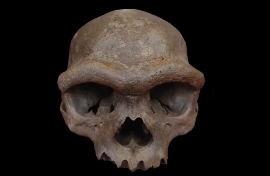 China’s Dragon Man Skull Found to Belong to Denisovan Lineage