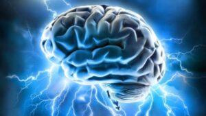Brain’s Built-In Signal Threshold Helps Differentiate Imagination from…