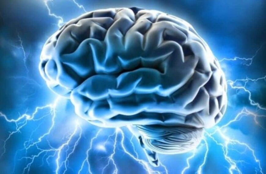 Brain’s Built-In Signal Threshold Helps Differentiate Imagination from Reality