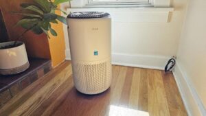 Our top air purifier is $35 off in…